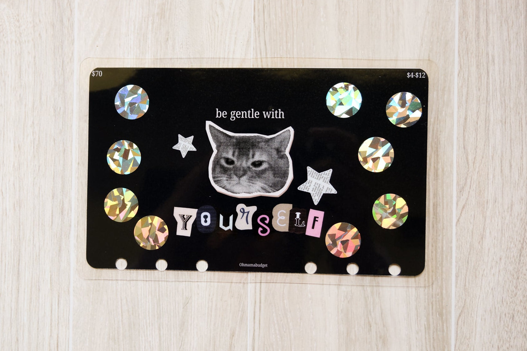 Inspirational cat￼ - $70